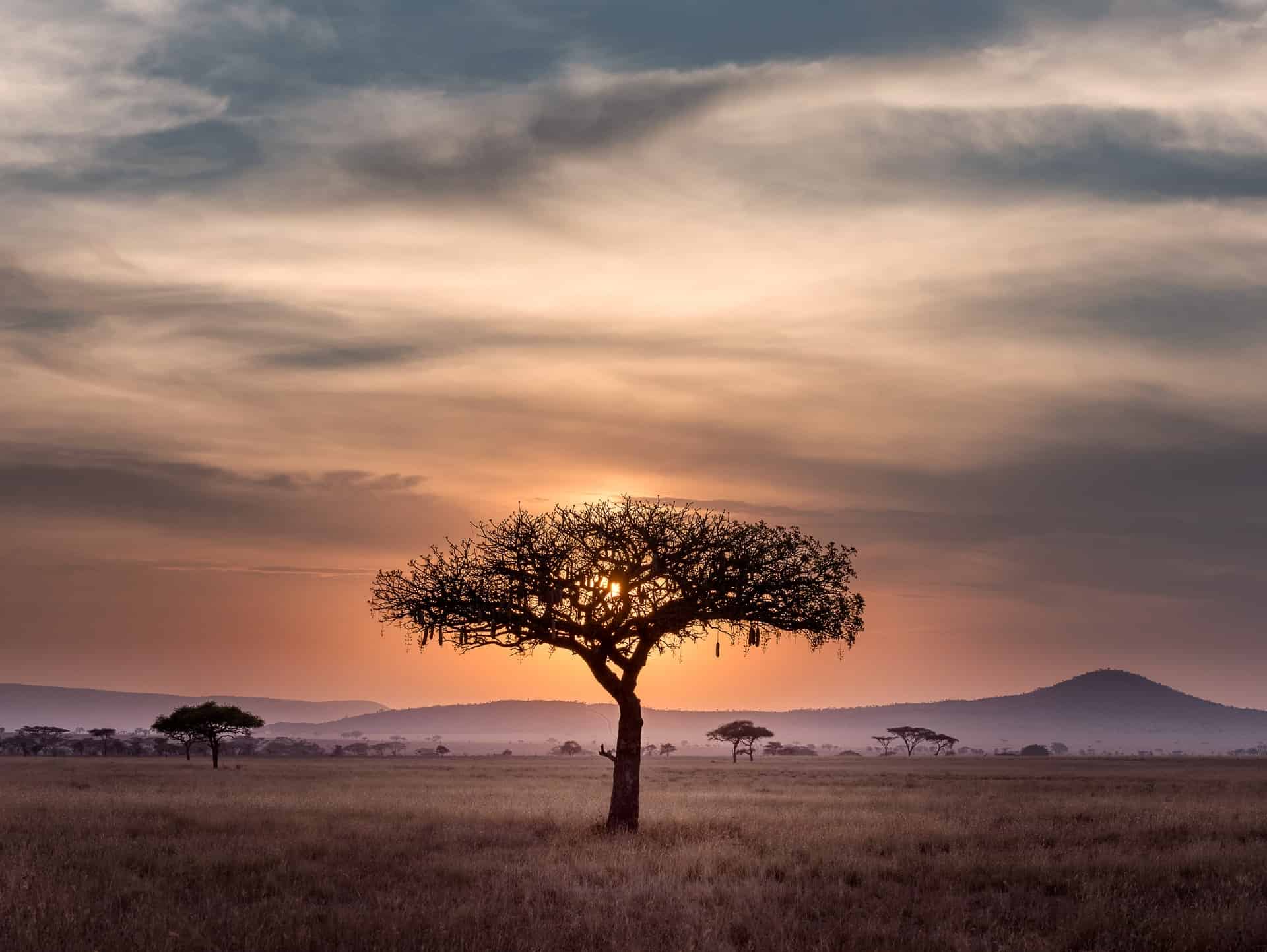 UHNWI multicountry Africa Trip UHNWI multicountry Africa Trip